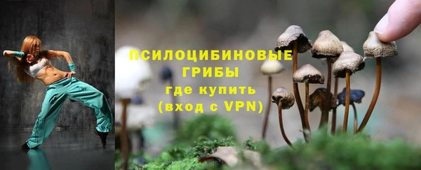 соль курить ск Белая Холуница