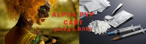 гашик Надым