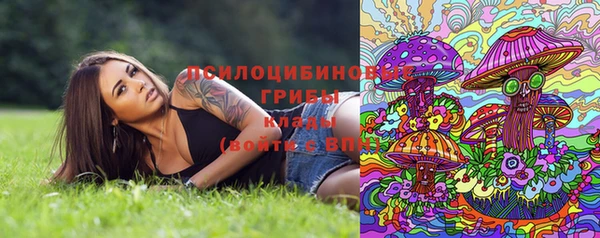 гашик Надым