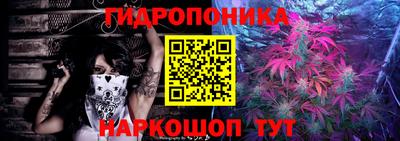 шишки Волгодонск
