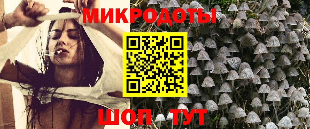 APVP Соликамск