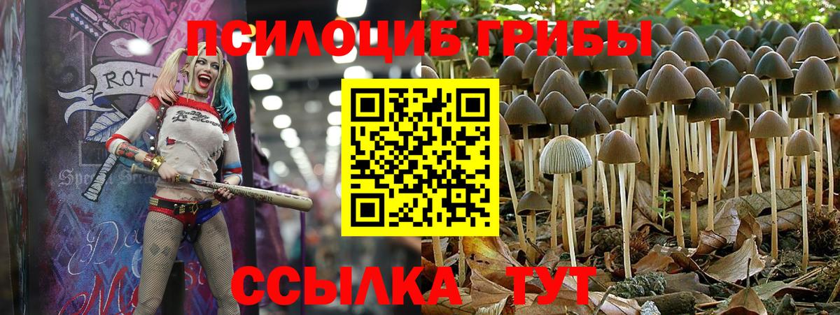 Псилоцибиновые грибы мицелий  Вход с VPN  Соликамск  Галлюциногенные грибы MAGIC MUSHROOMS 