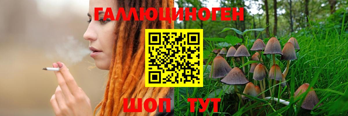 Псилоцибиновые грибы Magic Shrooms Соликамск